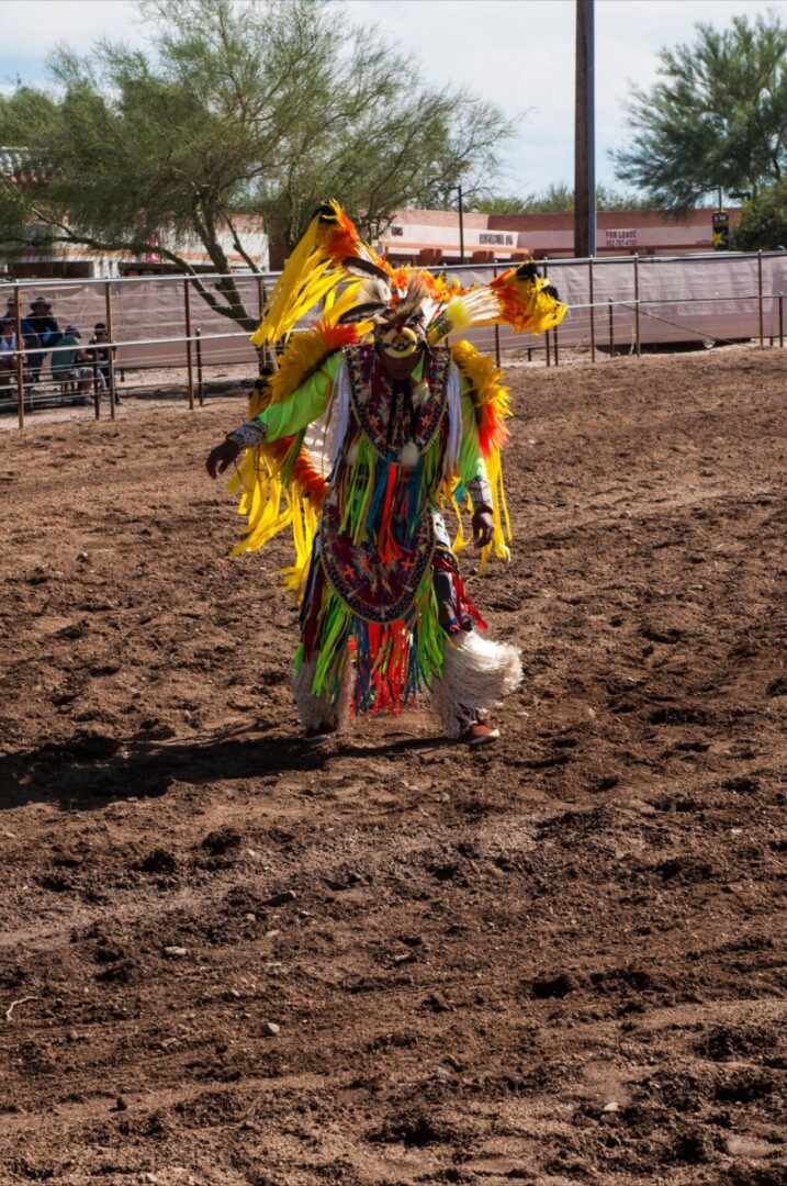 A person in costume is standing on dirt.