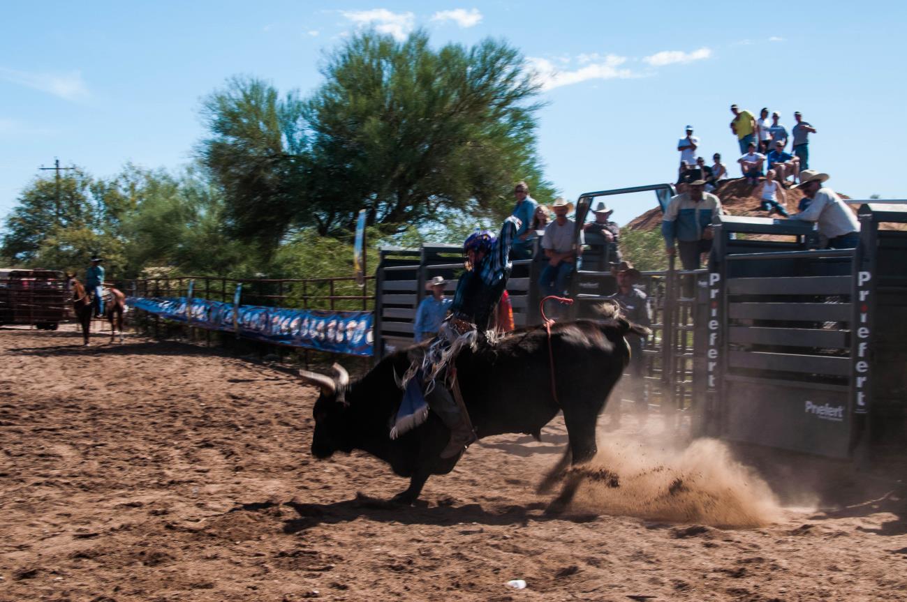 A bull rider is riding his horse in the dirt.