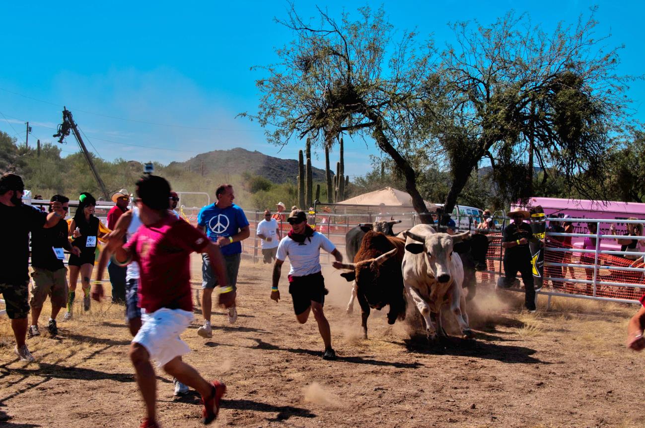 A group of people running around cows in the dirt.