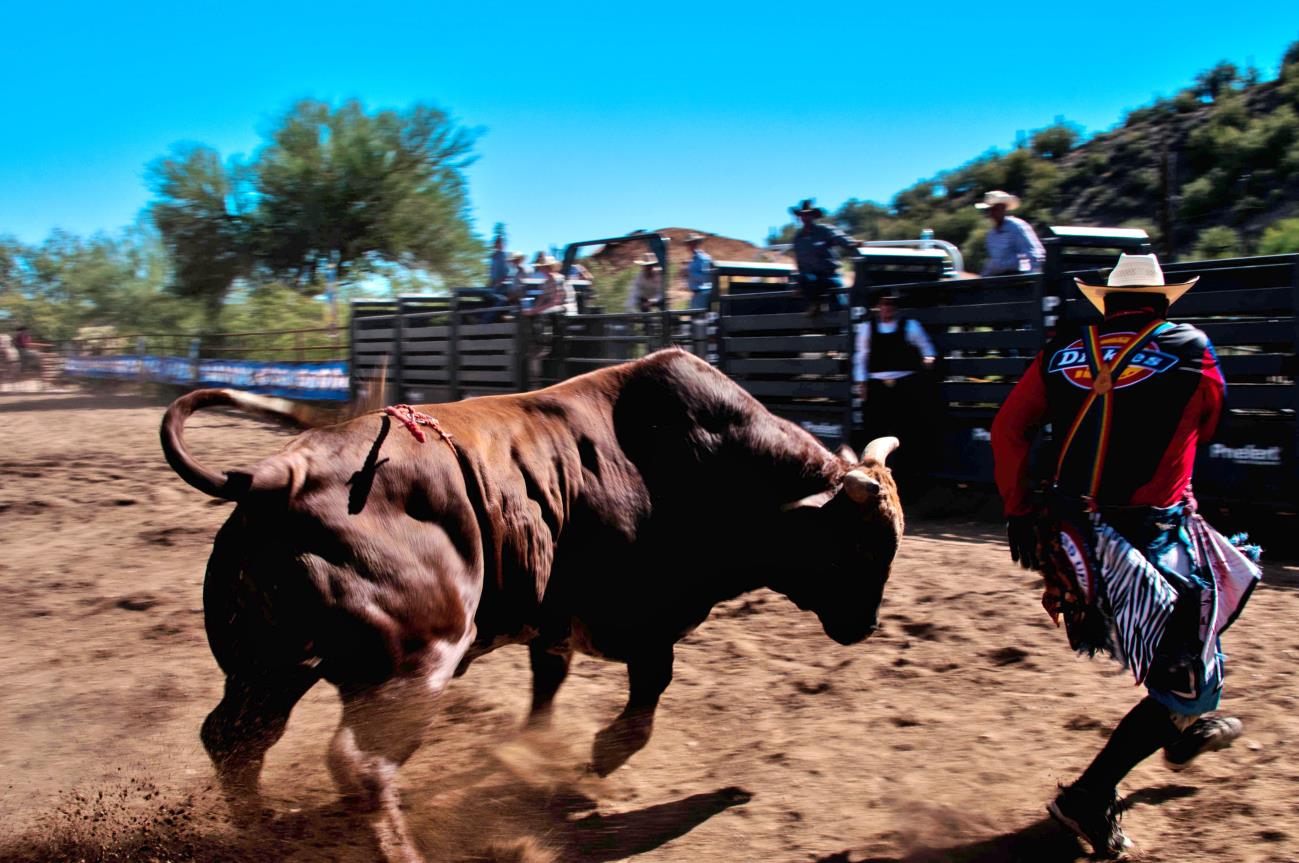 A bull and its rider in the dirt.