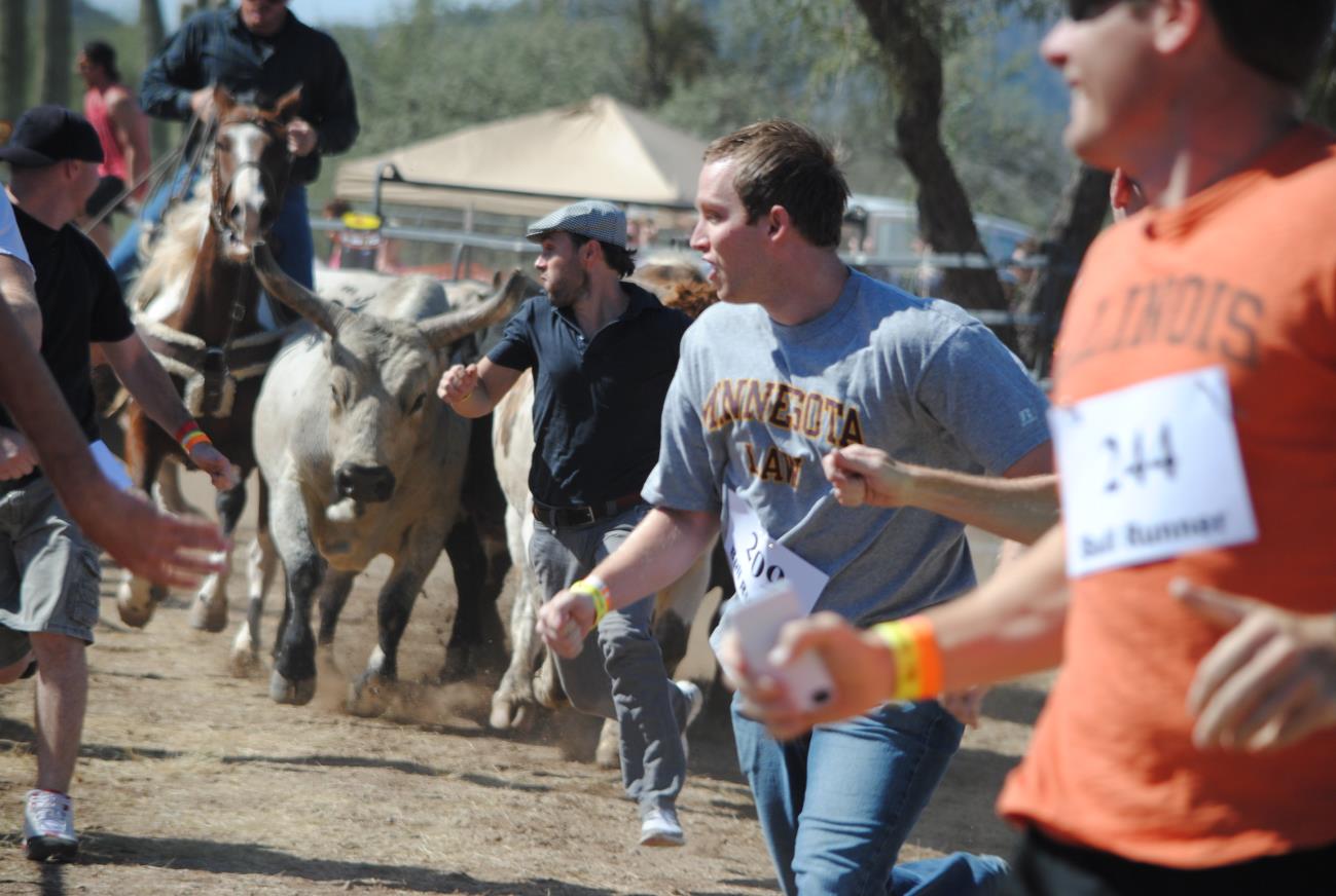 A group of people playing with bulls in the dirt.