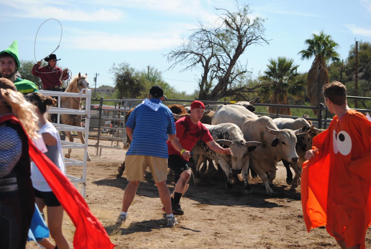 A man standing next to some cows in the dirt.