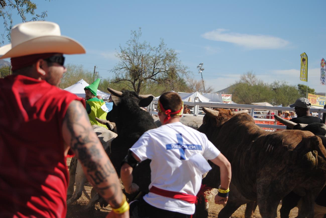 A man in white shirt walking on dirt near cows.