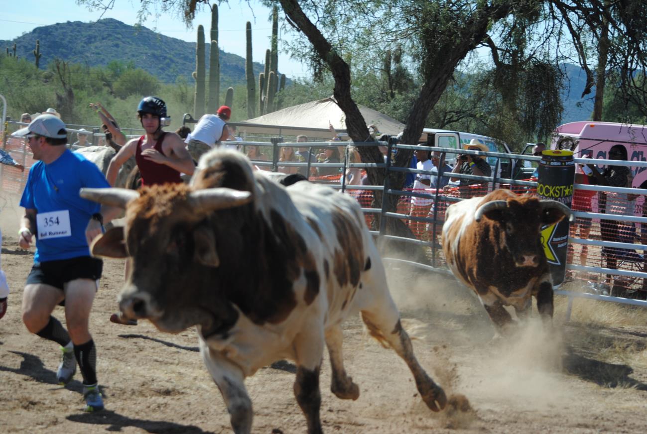 A bull is running in the dirt while people watch.