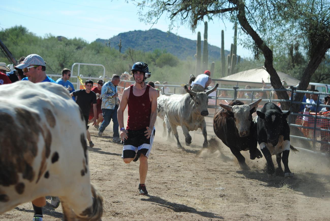 A man in red shirt running with cattle.