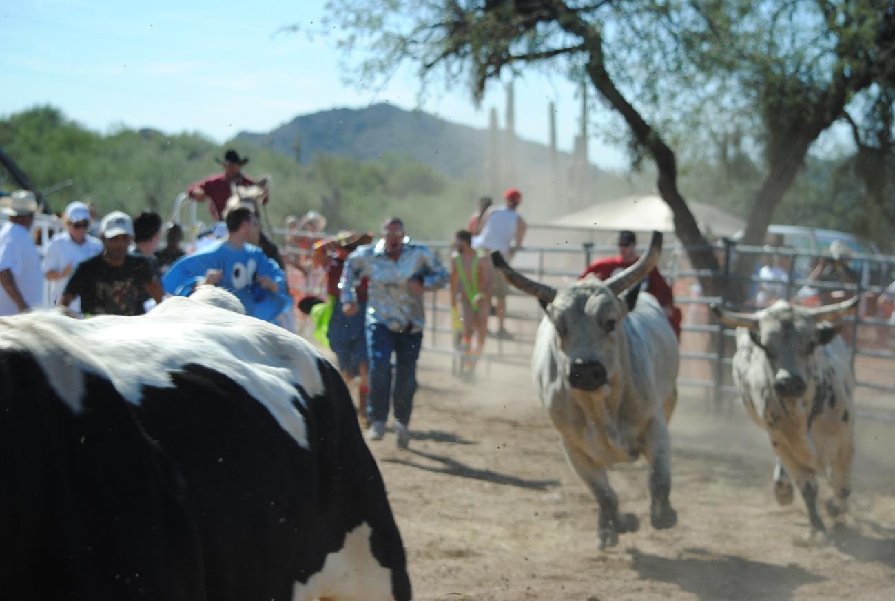 A bull is running in the dirt while people watch.