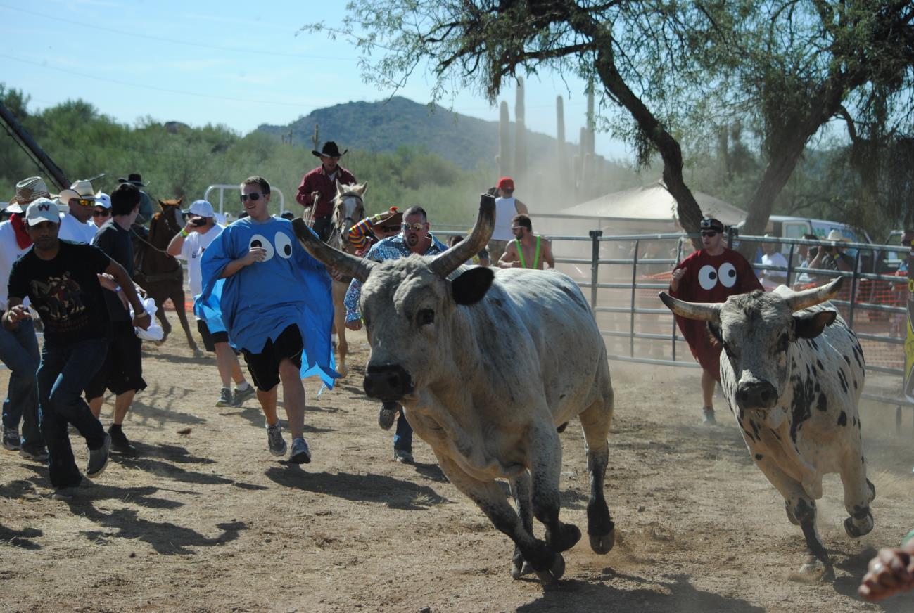 A group of people running around a cow.