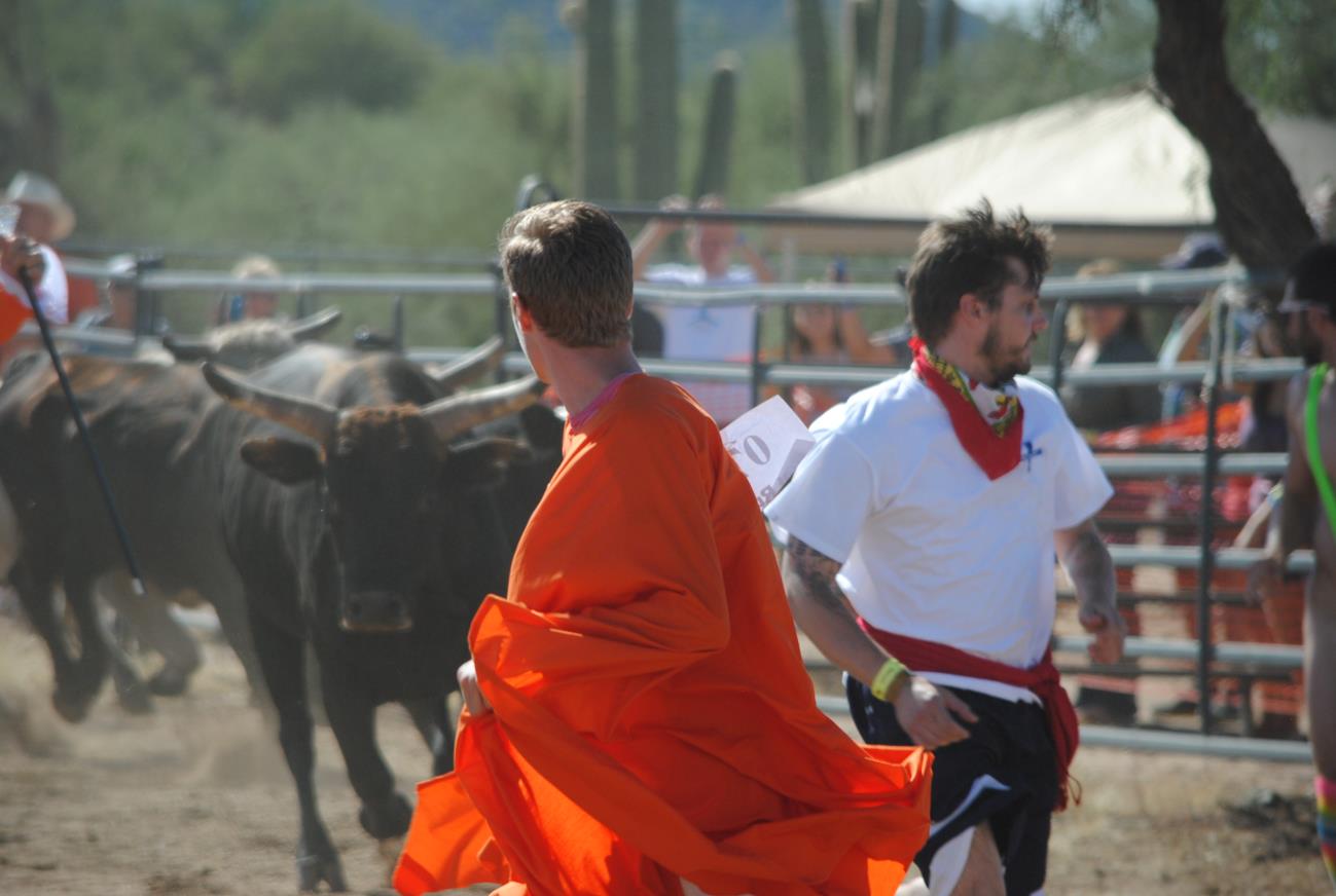 Two men in orange robes walking next to a herd of cattle.