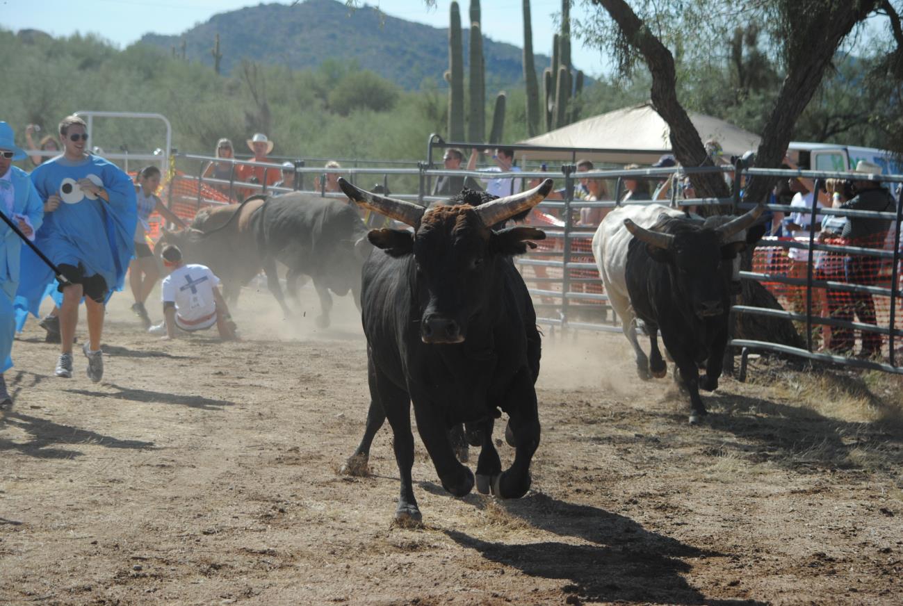 A bull is running in the dirt while people watch.